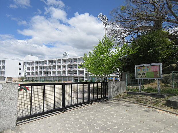 岡崎市立梅園小学校(約550m)