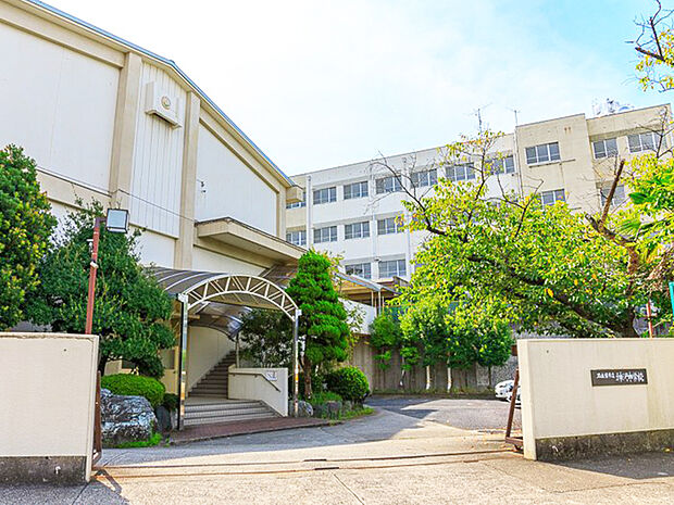 名古屋市立神沢中学校(約900m)