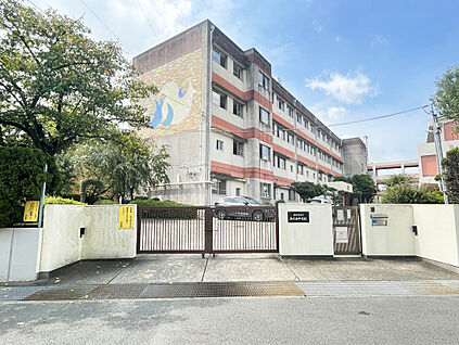 名古屋市立南天白中学校 850ｍ(徒歩11分)