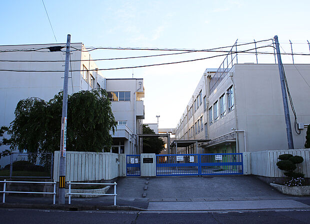名古屋市立天白小学校（約1m）