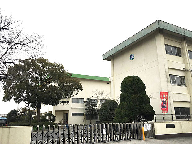 刈谷市住吉小学校（約1m）