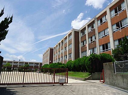 南陽小学校 850m