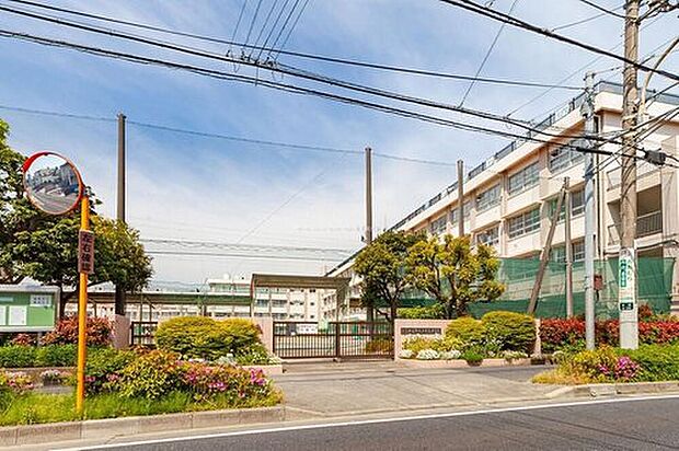 葛飾区立水元中学校（約700m）