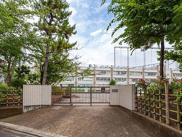 葛飾区立上小松小学校（約600m）