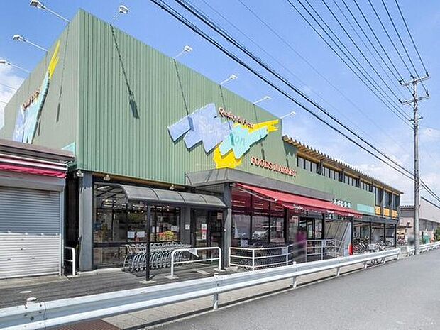 FOODS　MARKET　Selection三郷店（約240m）