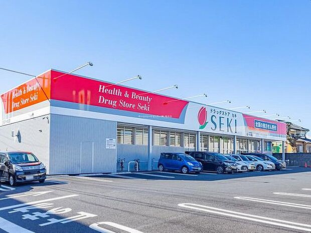 ドラッグストアセキ 三郷戸ヶ崎店（約1,000m）