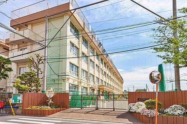 葛飾区立葛美中学校（約300m）