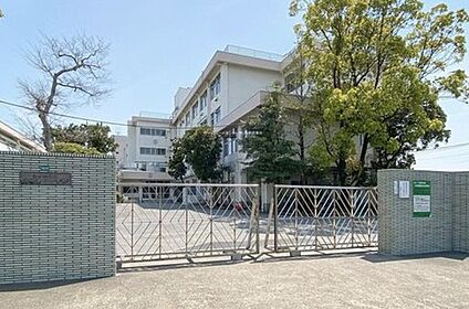 江戸川区立篠崎第二中学校 900m(徒歩12分)