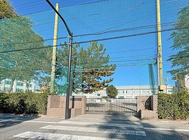 江戸川区立小岩第三中学校(約500m)