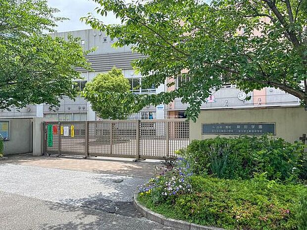 足立区立新田小学校（約700m）