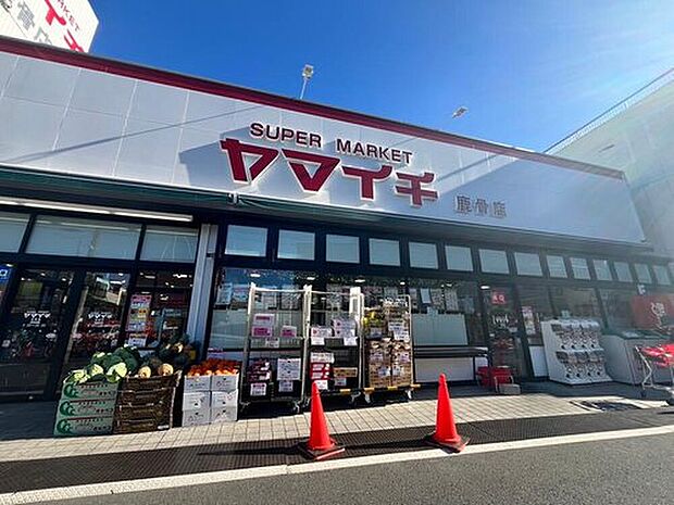 ヤマイチ鹿骨店(約300m)