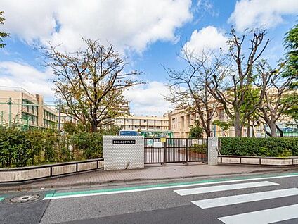 葛飾区立こすげ小学校 230ｍ(徒歩3分)