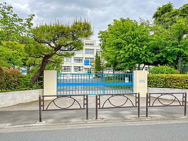 葛飾区立半田小学校(約1,000m)