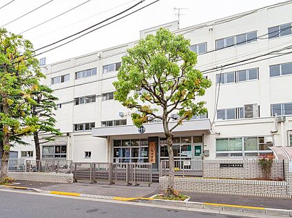 江戸川区立上一色中学校 350ｍ(徒歩5分)