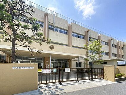 葛飾区立花の木小学校 650ｍ(徒歩9分)