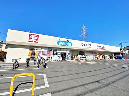 ウエルシア葛飾水元店 1100ｍ(徒歩14分/自転車5分)