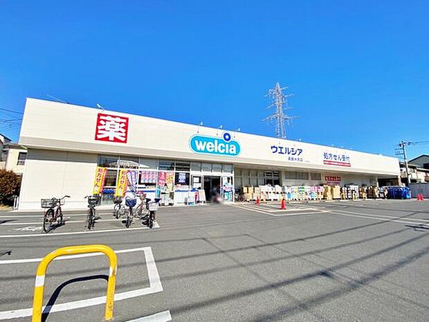ウエルシア葛飾水元店（約1,100m）