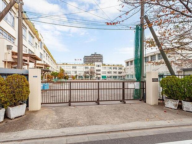 葛飾区立四ツ木中学校（約750m）