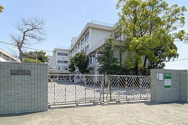 江戸川区立篠崎第二中学校（約550m）