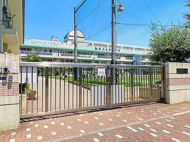 江東区立第三大島小学校(約700m)