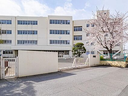 八潮市立柳之宮小学校 900m(徒歩12分)