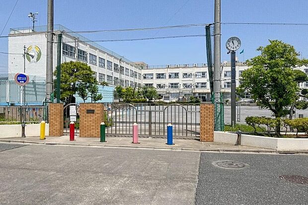 足立区立花畑小学校(約500m)