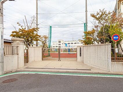 足立区立花畑第一小学校 500m (徒歩7分)