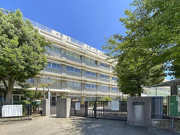 荒川区立第七峡田小学校(約300m)