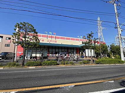 ヤマイチ江戸川店 500ｍ(徒歩7分)