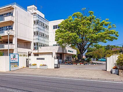 三郷市立高州東小学校 850m(徒歩11分)