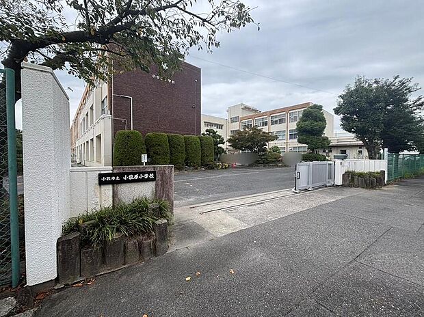 小牧市立小牧原小学校まで300m