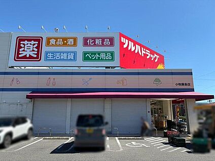 ツルハドラッグ小牧藤島店 278m(徒歩4分)