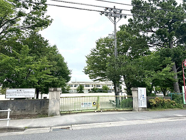 羽根小学校（約700m）
