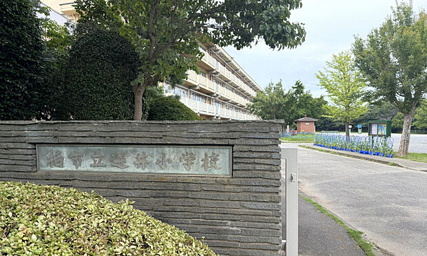 柏市立逆井小学校　徒歩10分