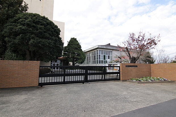 緑岡中学校（約972m）