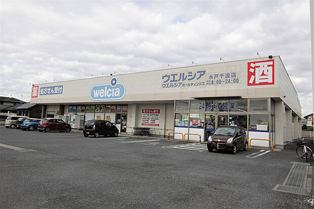 ウエルシア水戸千波店（約515m）