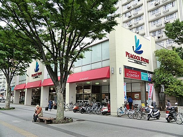 ピーコックストア洋光台店(約1,378m)