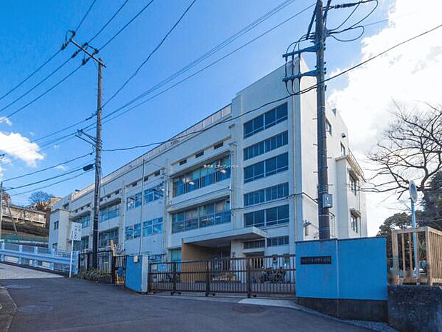 横浜市立日下小学校(約494m)