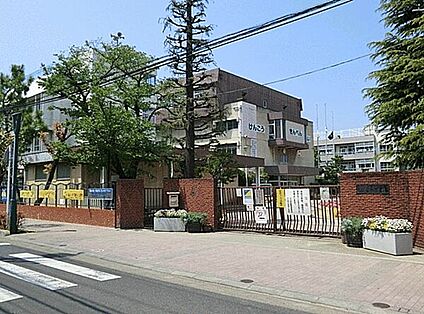 川口市立並木小学校 73m