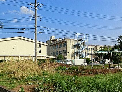 柏市立高柳西小学校 705m