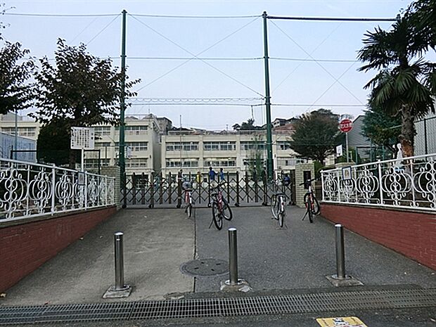 横浜市立峯小学校(約558m)