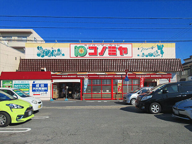 コノミヤ中根店（約599m）