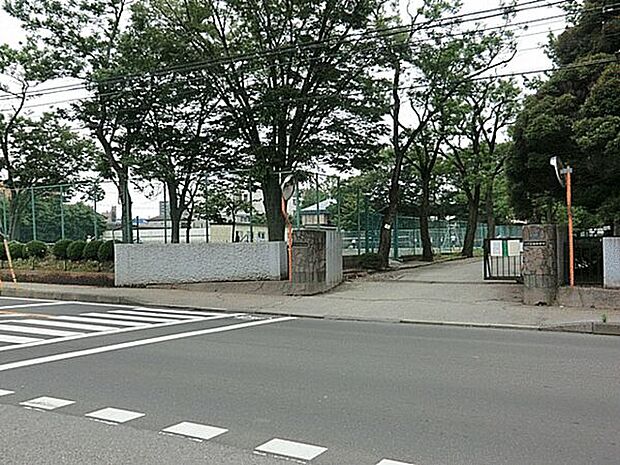 柏市立柏中学校（約840m）