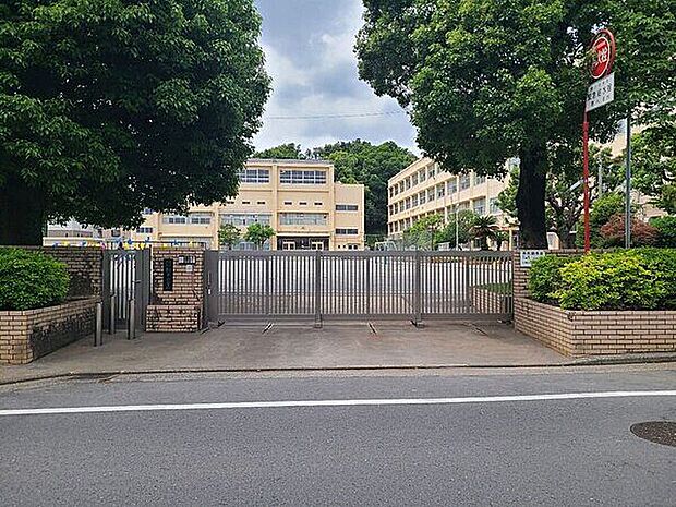 横浜市立新井小学校（約544m）