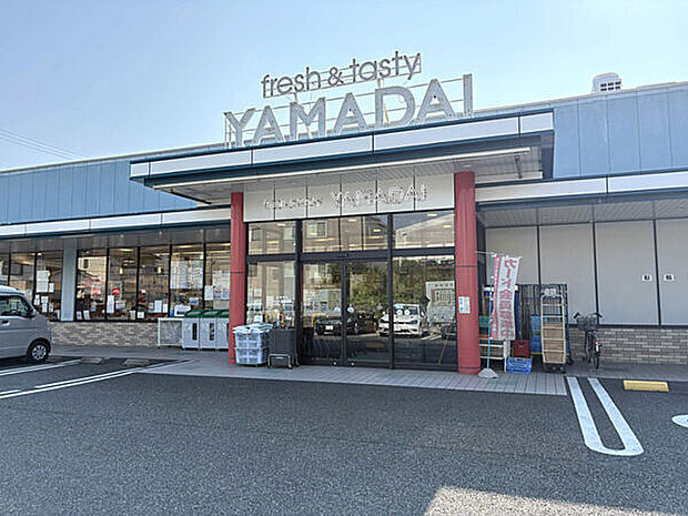 ヤマダイ 瑞穂店(約719m)
