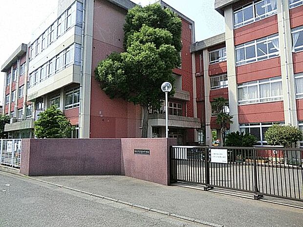 藤沢市立高倉中学校（約828m）