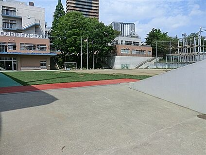 豊島区立南池袋小学校 878m