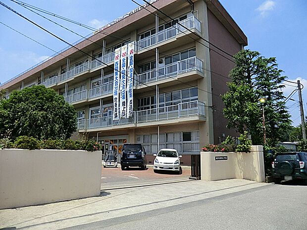朝霞市立朝霞第三中学校（約746m）