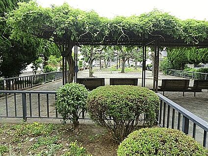 しいの木公園 424m