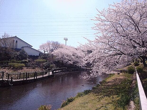 岸根公園(約777m)